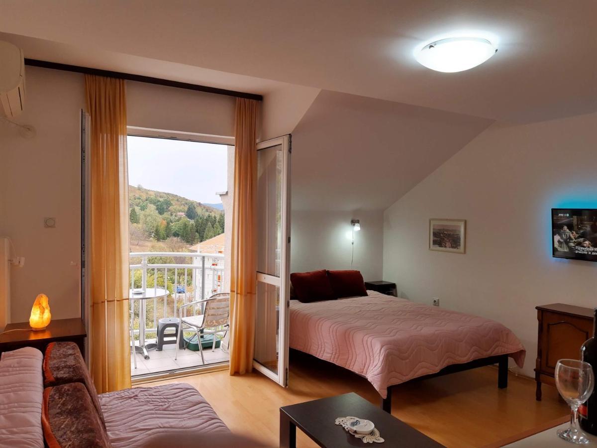 Sky Apartman ソコバニャ エクステリア 写真