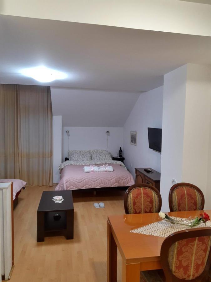 Sky Apartman ソコバニャ エクステリア 写真