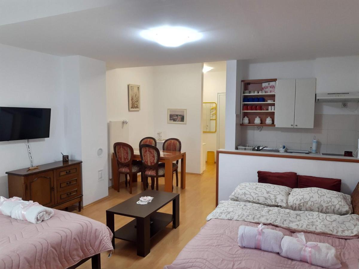 Sky Apartman ソコバニャ エクステリア 写真